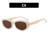 Cat-Eye Polygonal Minimalist Sunglasses Trendy Street Style UV400 Shades Eyewear for Women Summer Beach Travel Sun Glasses