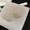 Silver Needle Metal Wind Flower Hollow Stud Earrings Light Luxury Exaggerated Personality Beautiful Earrings Niche Design Earrings