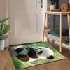 Cute Panda Print Extra Large Area Rug Floor Mat for Living Room Kitchen Entryway Balcony Home Decor