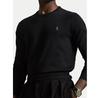 Polo Ralph Lauren Ls Sweater