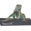 Resun Waterproof Heating Mat Terrarium Reptiles Dogs Cats 24W 20X45Cm