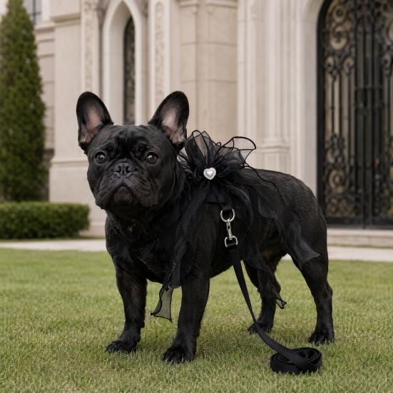 Cat And Small Dog Harness and Leash Set Adjustable H-Style Pet Harness