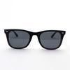 Sunglasses RB4391D BLACK 65 Ray-Ban