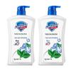 Safeguard Healthy Clean Mint Body Wash, 2 X 1kg Pack