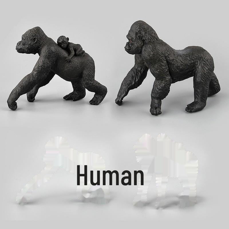 Schimpanse und Gorilla Stehend Zoo Modell Spielzeug