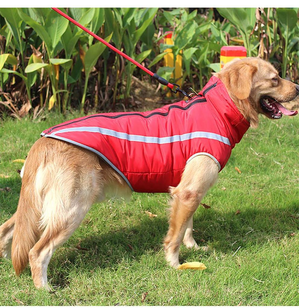 cheap dog jackets