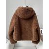 Women's Faux Lamb Wool Hooded Coat: New 2025 Autumn/Winter Double-Sided Plush, Thickened Short Coat/Sweatshirt
