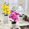 Phalaenopsis Artificial Potted Plant Silk Fabric Material Props Photography