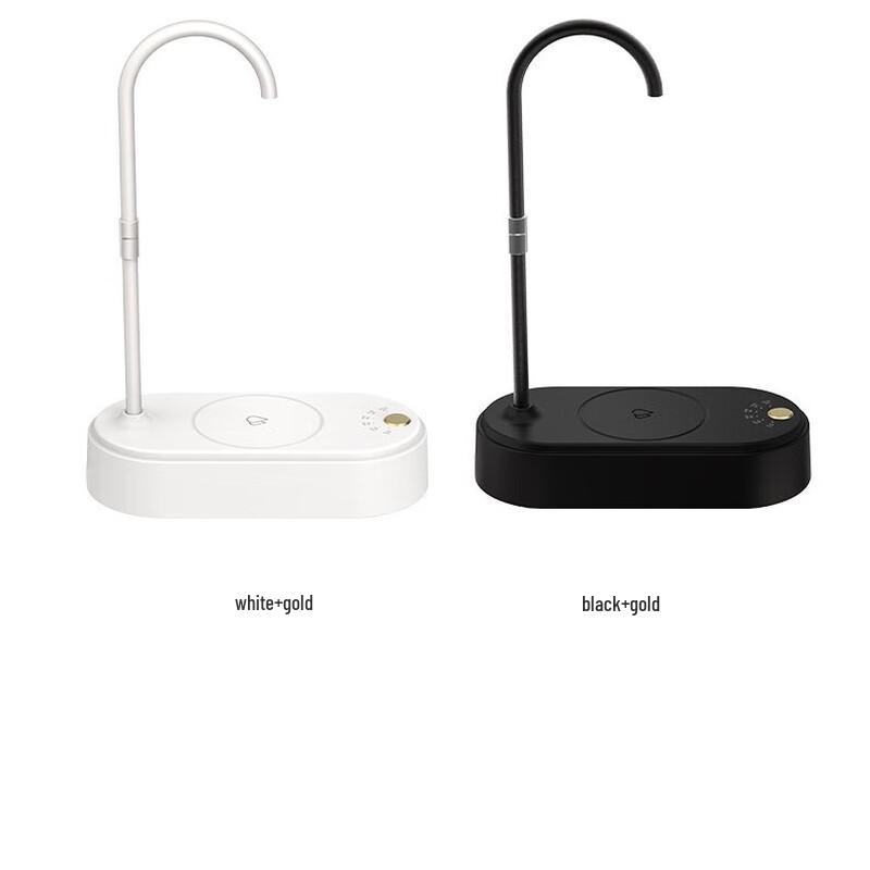 LISM Electric Water Dispenser Pump
