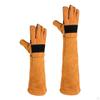 Tierpflegehandschuhe - Langlebige und sanfte Reinigungslösung für Tierliebhaber