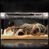 Creative Lifelike Hollow Lizard Hideout Caves Trunk Habitats Tortoise Hideout Small Reptile Caves