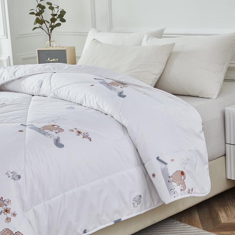 Hengyuanxiang Sheep Wool Quilt