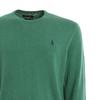 Polo Ralph Lauren Pony Logo Embroidered Crew Neck Long Sleeve Knit Sweater Men Sweater 710744679-020