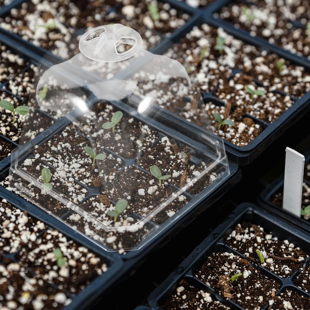 10Pcs Square Succulent Pot Covers Clear Plastic Dome Cloche Humidity Retention Plants Protector Garden Dome Covers Reusable