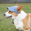 Adjustable Dog Parent-Child Hat Breathable Cat Sunscreen Hat INS Pet Sun Hat  Outdoor