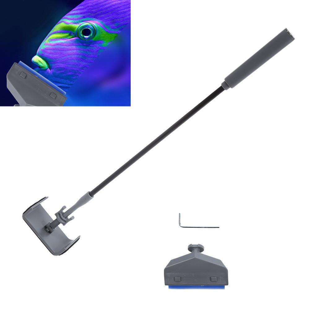 2 in 1 Fish Tank Cleaning Brush Algae Scraper Small Aquarium Cleaning Accessories
