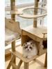 Custom Cat Tree & Bed: Space Capsule Design with All-Season Jumping Platform & Large Scratching Post