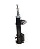 Ft11095 Fast Shock Absorber Front /R Gas