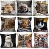 Cute Animal Sofa Pillowcase Vibrant Single-Sided Living Room Polyester, Bedroom Comfortable Backrest Cushion, Decorative Home Decor for Bedroom
