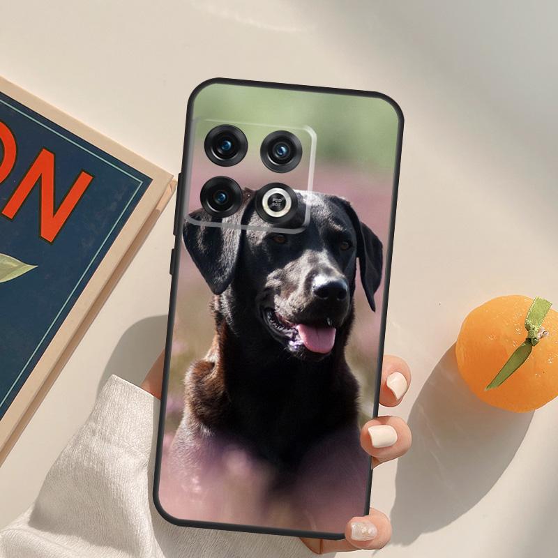 Schwarzer Labrador Retriever Tier Hund Hülle Für OnePlus 12R 13R 13T 10R 15 13 12 11 10T 8T Nord CE 4 3 2 Lite N20 N30 Nord 5 Hülle