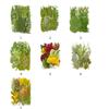 Pressed Dried Leaves Plant for Resin Molds Natural Pressed Dried Leaves For Scrapbooking Soap Candle Jewelry Making