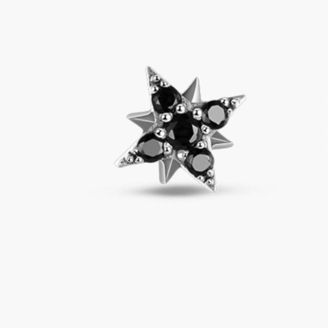 Haoyue Xingchen S925 Silver Needle Star & Moon Stud Earrings - High-End Couple Style Niche Design