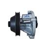 Bomba de Agua de Refrigerante de Montaje Para Mahindra Scorpio MHawk 2.2 0304EM0050N