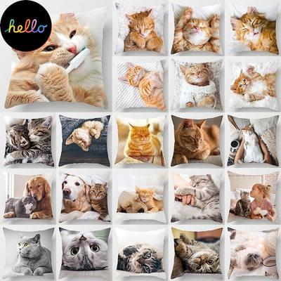Μαξιλαροθήκη 18 ιντσών Cat Collection Διακόσμηση σπιτιού και γραφείου Τετράγωνη μαξιλαροθήκη