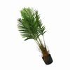 90cm 3FT LED Lighted Palm Tree Solar Powered Artificial Lighted Palm Tree for Terrace Swimming Pool