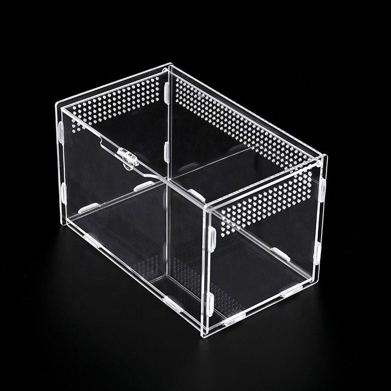 Springspinnen Acryl Vitrinen Reptilien Terrarium Käfig Box Acryl Spinnen Gehege für Vogelspinne