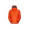 Мужские пуховики и куртки Arc'teryx CERIUM SV 29672