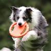 Köpek – Köpek oyuncakları