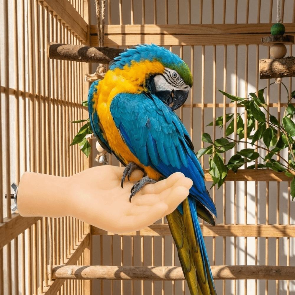 Realistic Simulated Hand Shaped Bird Stand Fake Hand Parrot Resting Pole Perch Shelf