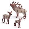 Wild Animal Solid Model: Children's Cognitive Reindeer Ornament