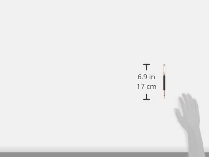 Caran EF Extra Fine Varius Ebony Fountain Pen Officially Imported d'Ache 4490-122 Dual-Use,