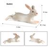 Oenux Lovely Farm Rabbit Bunny Model Action Figure Figurine Wild Desert Cottontail Hare Cute PVC Decoration Education Kid Toy