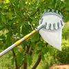 High-Altitude Stainless Steel Telescopic Fruit Picker for Persimmons, Apples, Waxberries, and Mangoes