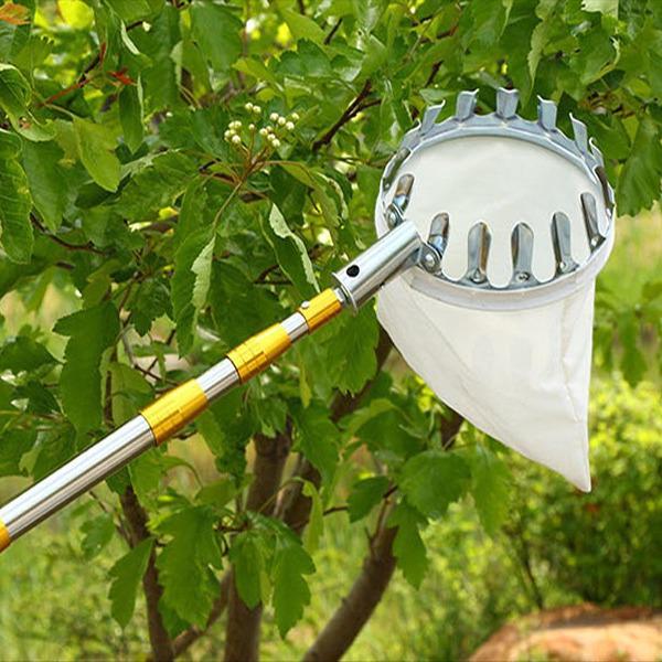High-Altitude Stainless Steel Telescopic Fruit Picker for Persimmons, Apples, Waxberries, and Mangoes