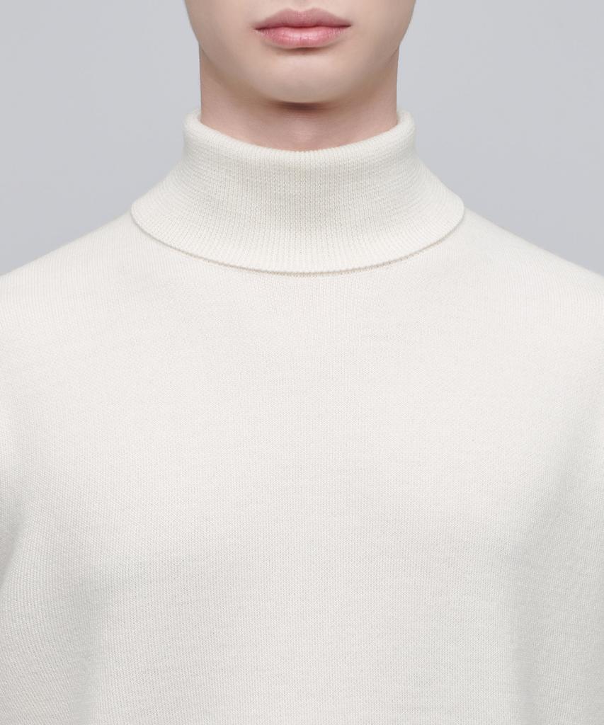 MUSINSA STANDARD Minimal Turtleneck Knit [Cream]