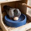 Bird Nesting Box With Plastic Incubator For Small Bird Breeding And Egg Incubation