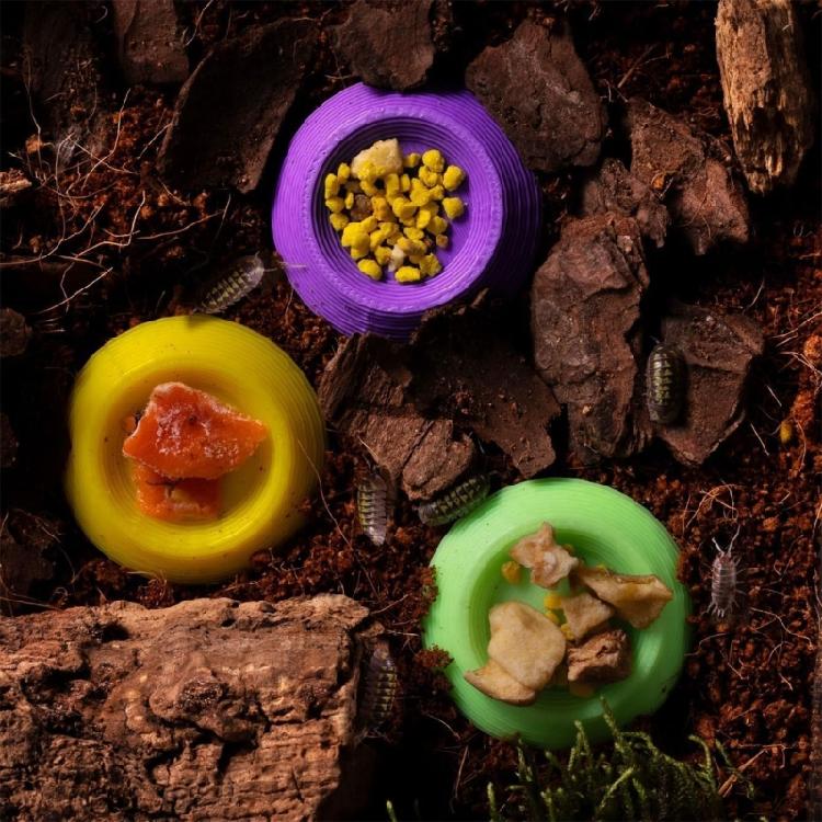 Pack of 12 Roach Insect Feeder Bowls with Inclined Entrance Facilitating Easy Feeding for Reptiles and Amphibians
