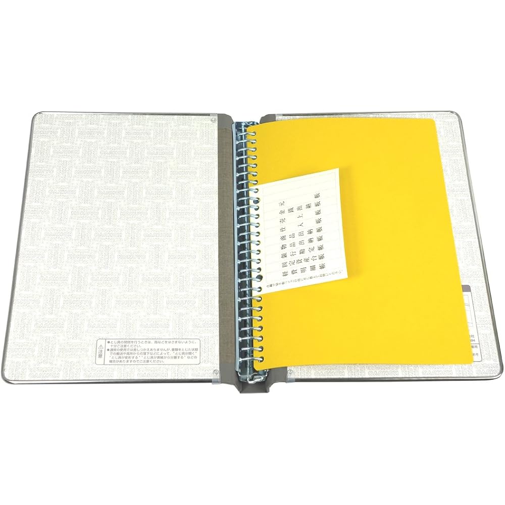 KOKUYO (KOKUYO) File Binder, PP B5, 26 Holes, Holes, 100 Sheets, Gray, 10 NM