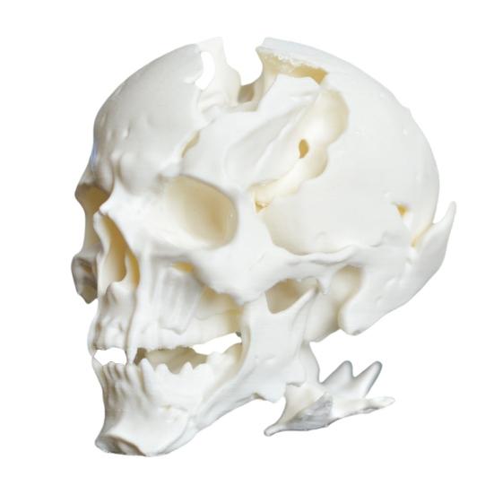 Halloween Skull Ornament Synthetic Shape Figure Realistic Resin Alien Skull Bone Detail Sculpture