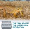 12 Rejillas Caja de Eclosión Serpiente Lagarto Reptil Bandeja para Huevos Cajas Dispositivo para Eclosionar Huevos Mascota Trepadora Tortuga Tortuga Suministros de Incubadora