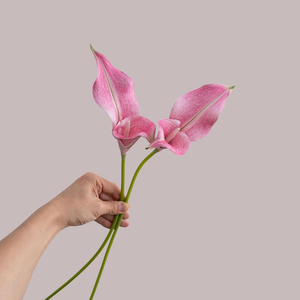 Rainbow Sketcher Artificial Calla Lily - INS Style Home Decoration Flower for Weddings