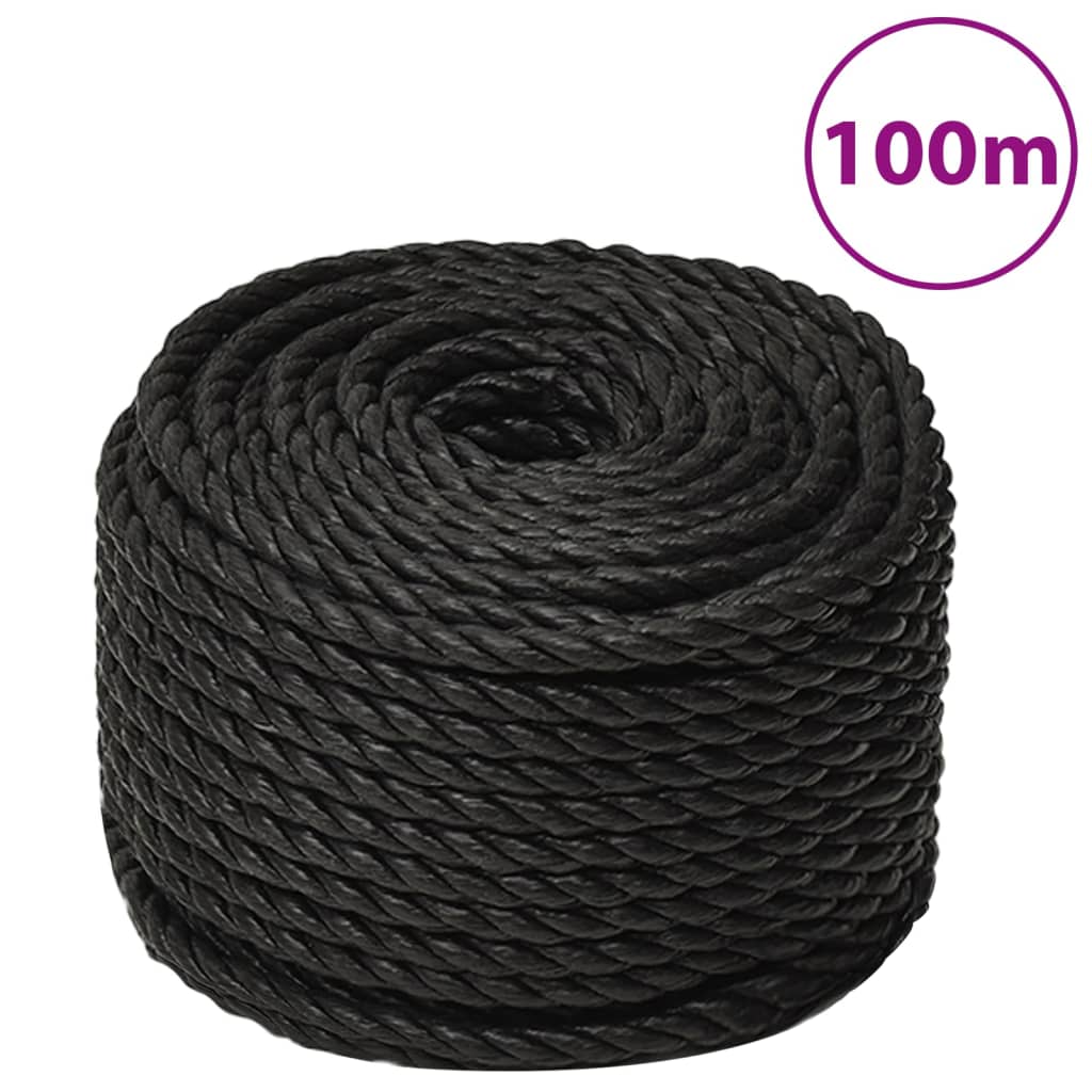 Vidaxl Linka Robocza, Czarna, 10 Mm, 100 M, Polipropylen