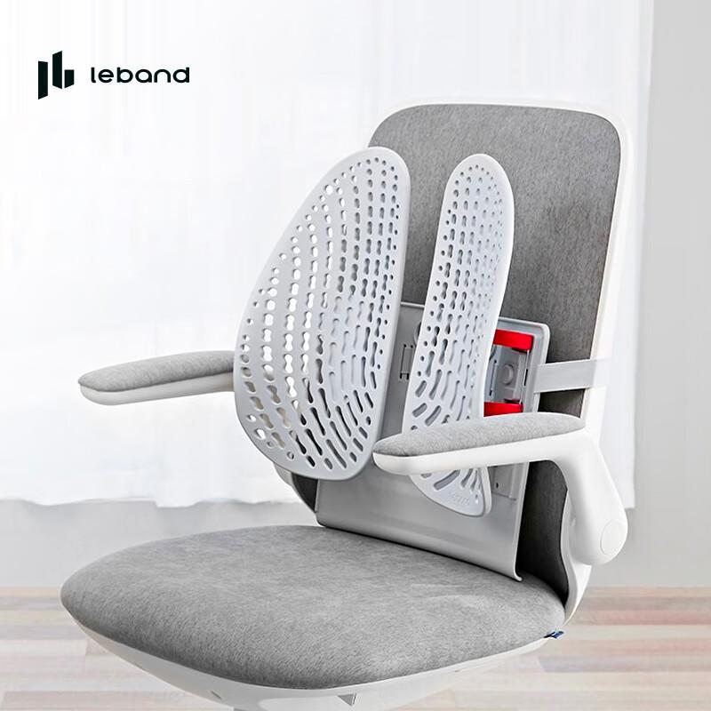 

LeFan Ergonomic 5-Gear Adjustable Lumbar Support Cushion