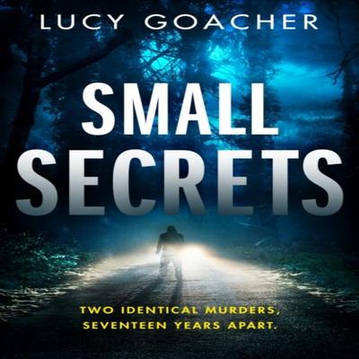 Small Secrets by Lucy Goacher Paperback Book 9781662506291