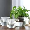 Glass Water-absorbing Flower Pot Visible Water Level Self Watering Hydroponic Planter Garden Supplies Water Planting Pots
