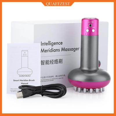 Elektrischer Mikrostrom-Guasha-Bürste mit Vibration / Meridian-Körpermassagegerät